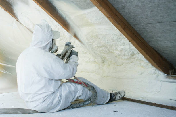 Best Crawl Space Insulation  in Cross Roads, TX