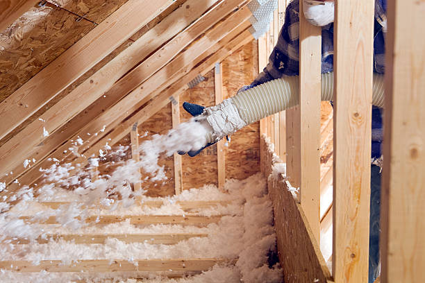 Best Attic Insulation Installation  in Cross Roads, TX